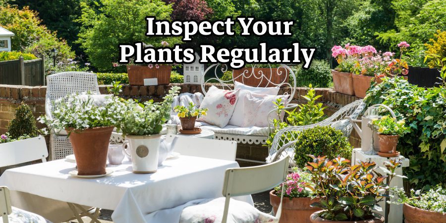  Inspect Your Plants Regularly