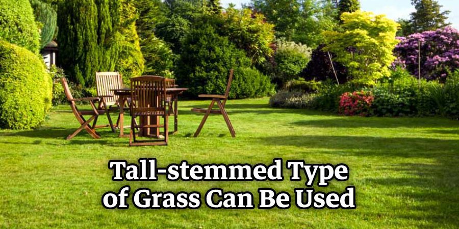 Tall-stemmed Type of Grass Can Be Used