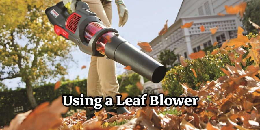 Using a Leaf Blower