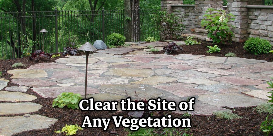 Clear the Site of Any Vegetation