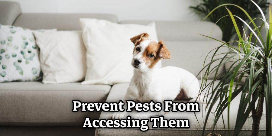 Prevent Pests From Accessing Them