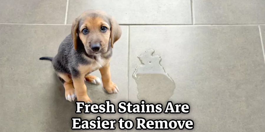 Fresh Stains Are Easier to Remove