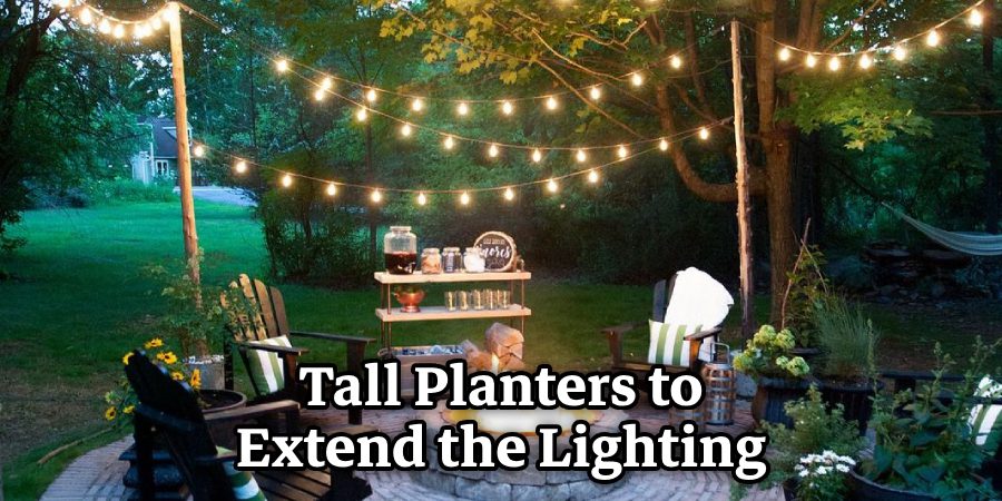 Tall Planters to Extend the Lighting