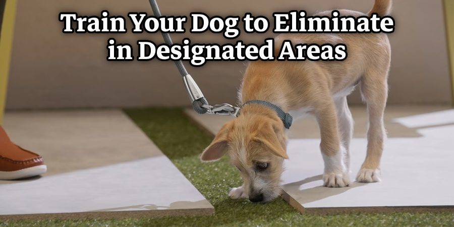 Train Your Dog to Eliminate in Designated Areas