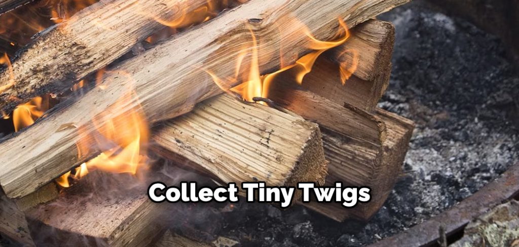 Collect Tiny Twigs