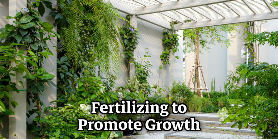 Fertilizing to Promote Growth