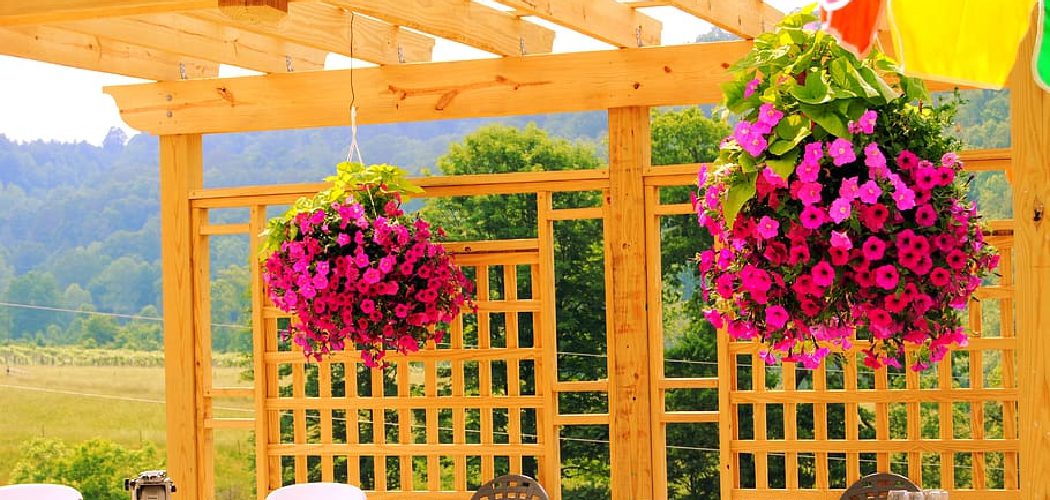 How To Decorate A Pergola With Plants