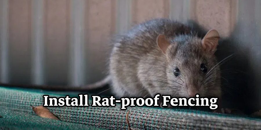 Install Rat-proof Fencing