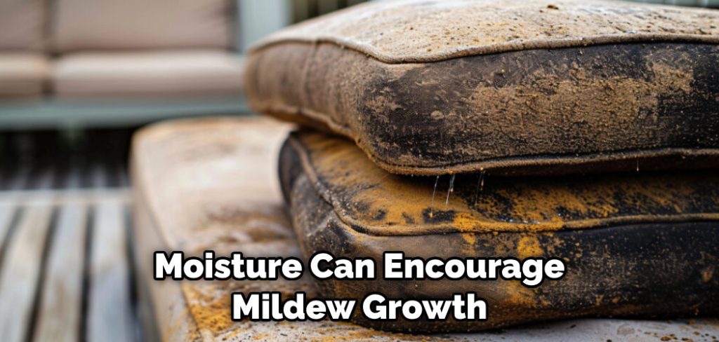 Moisture Can Encourage Mildew Growth