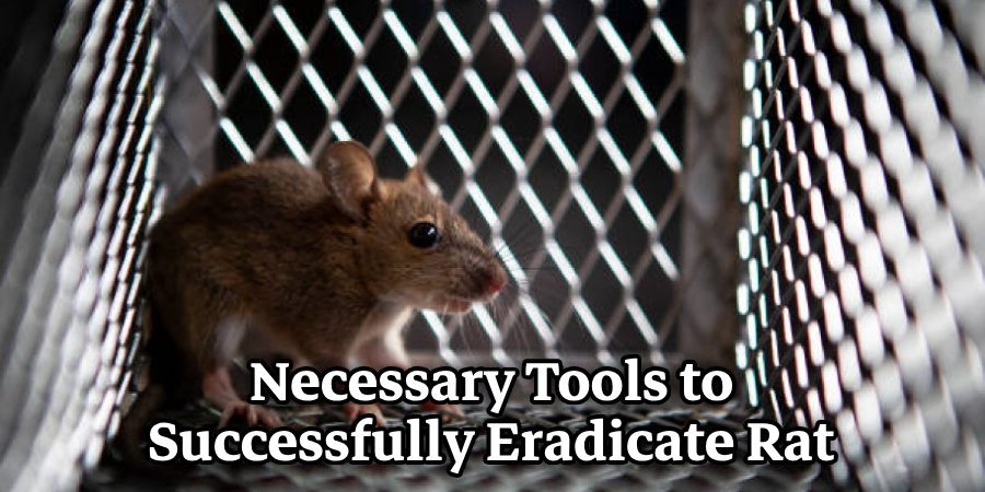 Necessary Tools to Successfully Eradicate Rat