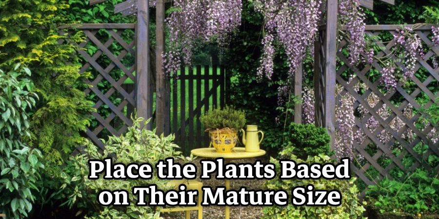 Place the Plants Based on Their Mature Size