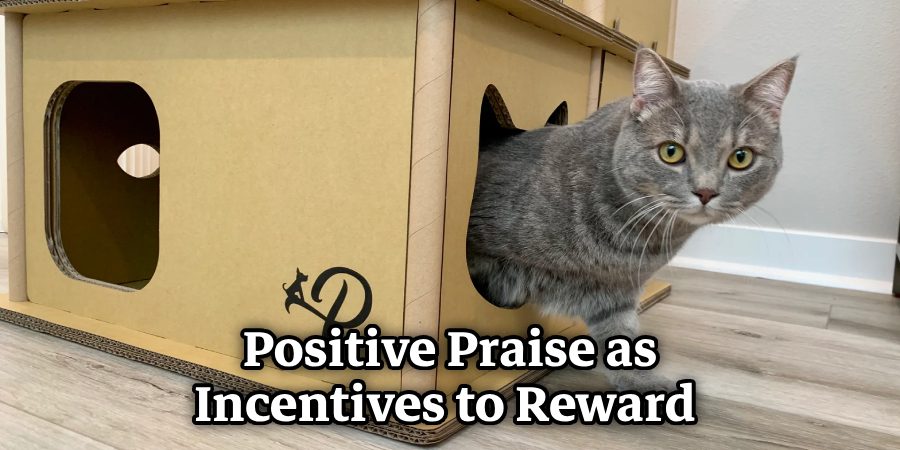 Positive Praise as Incentives to Reward 