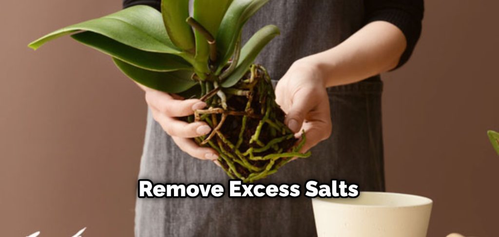 Remove Excess Salts