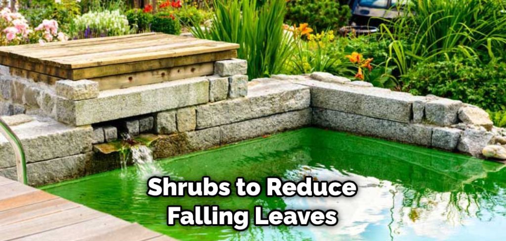 Shrubs to Reduce Falling Leaves