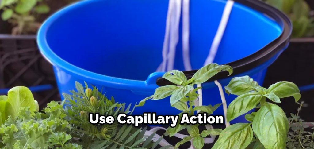 Use Capillary Action