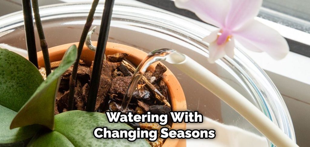 Watering With Changing Seasons