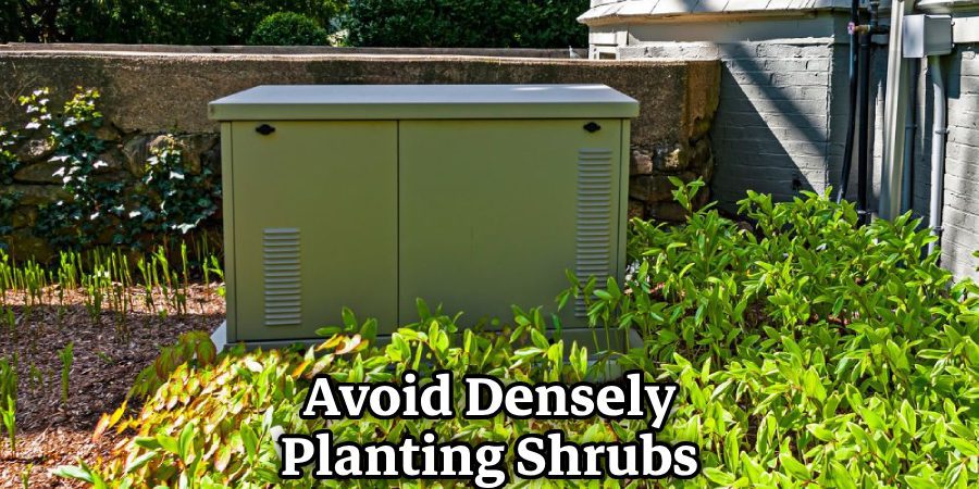 Avoid Densely Planting Shrubs