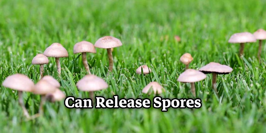 Can Release Spores