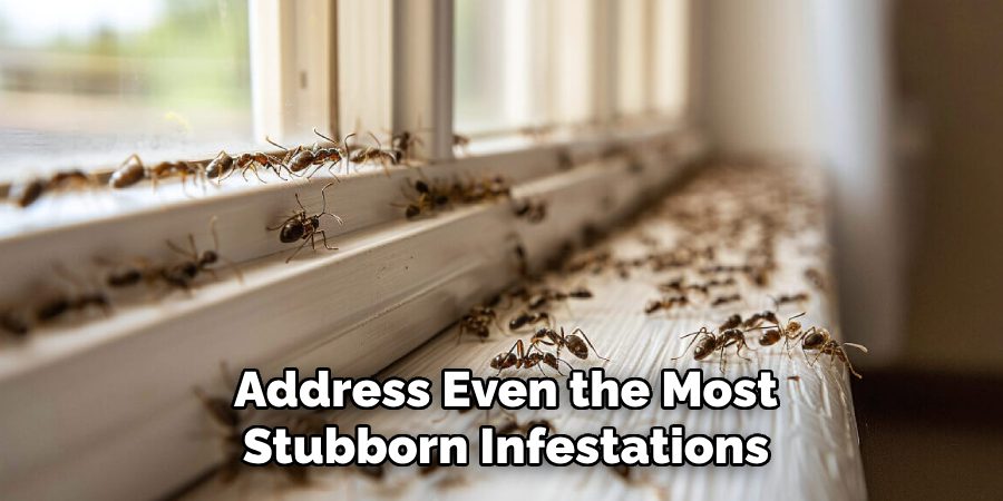 Address Even the Most Stubborn Infestations