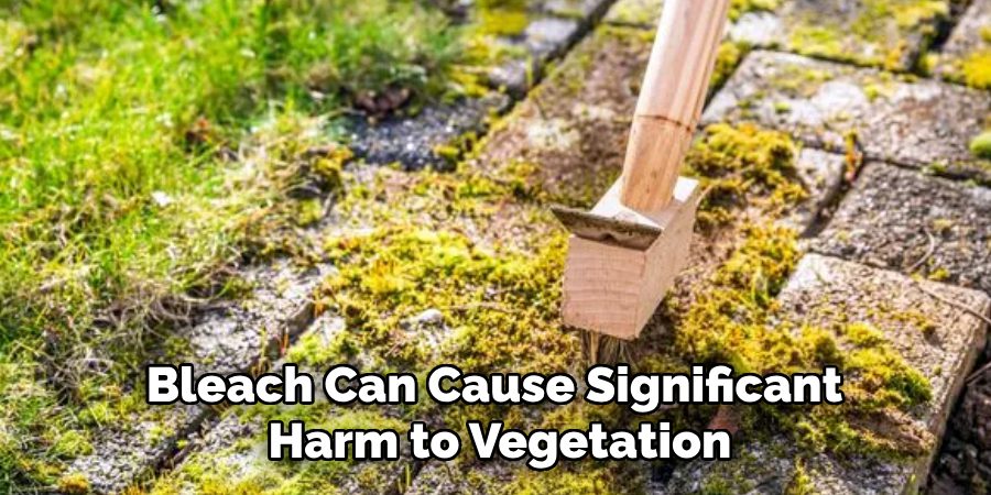 Bleach Can Cause Significant 
Harm to Vegetation