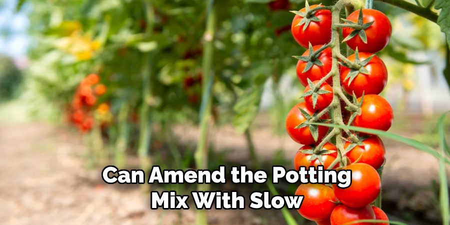 Can Amend the Potting Mix With Slow