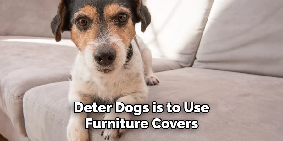 Deter Dogs is to Use
Furniture Covers