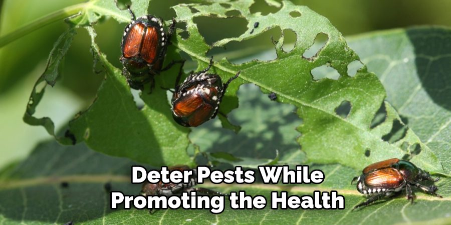 Deter Pests While Promoting the Health