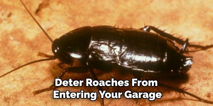 Deter Roaches From
Entering Your Garage