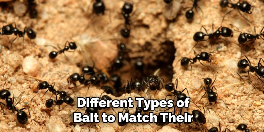 Different Types of Bait to Match Their