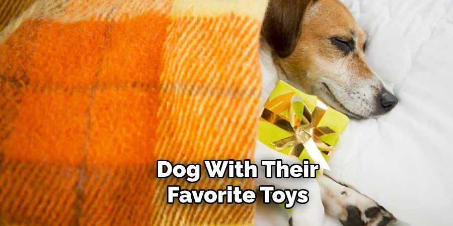 Dog With Their
Favorite Toys