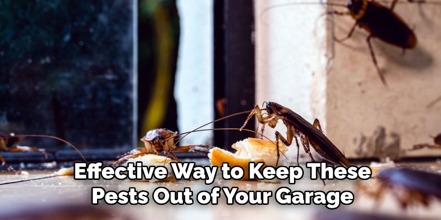Effective Way to Keep These
Pests Out of Your Garage