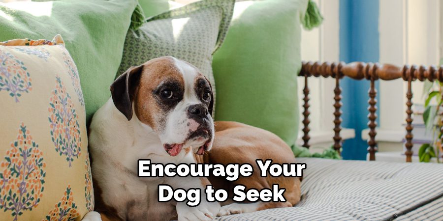 Encourage Your
Dog to Seek