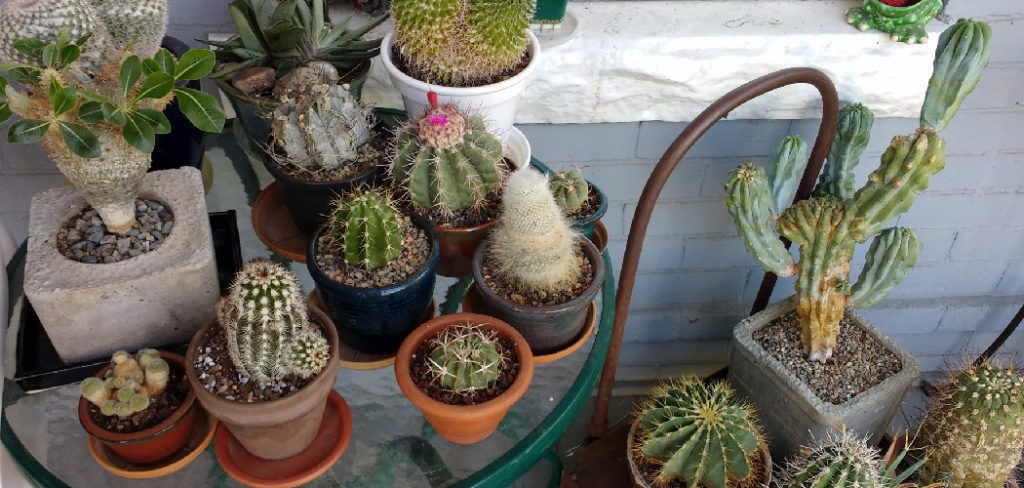 How to Make a Porch Pot for Christmas