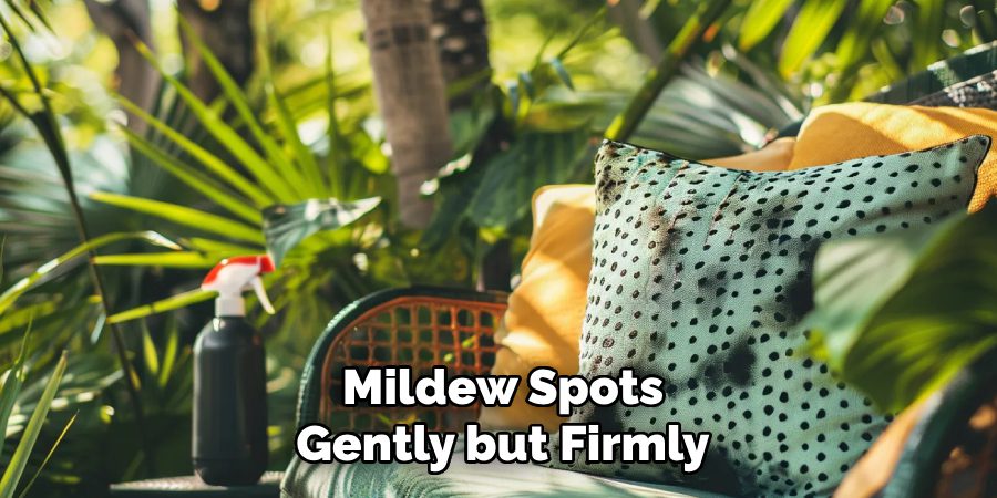 Mildew Spots Gently but Firmly