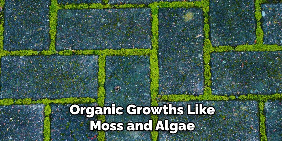 Organic Growths Like Moss and Algae