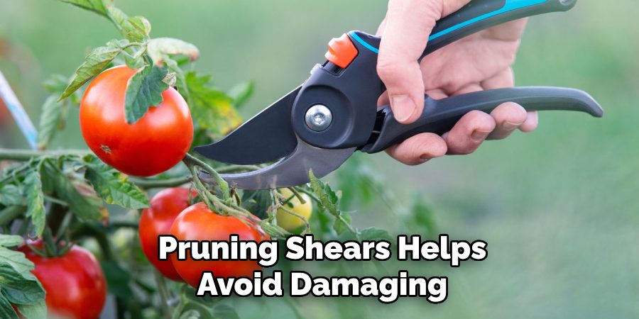 Pruning Shears Helps Avoid Damaging