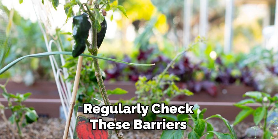 Regularly Check These Barriers