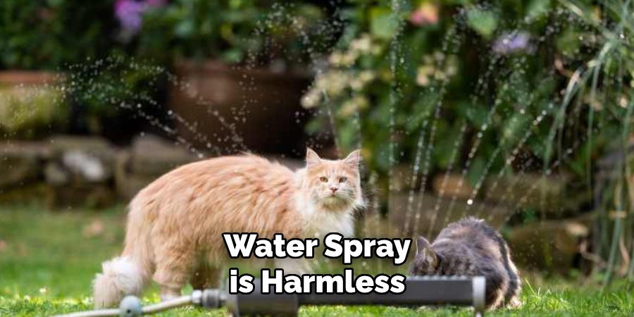 Water Spray is Harmless
