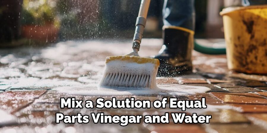 Mix a Solution of Equal Parts Vinegar and Water