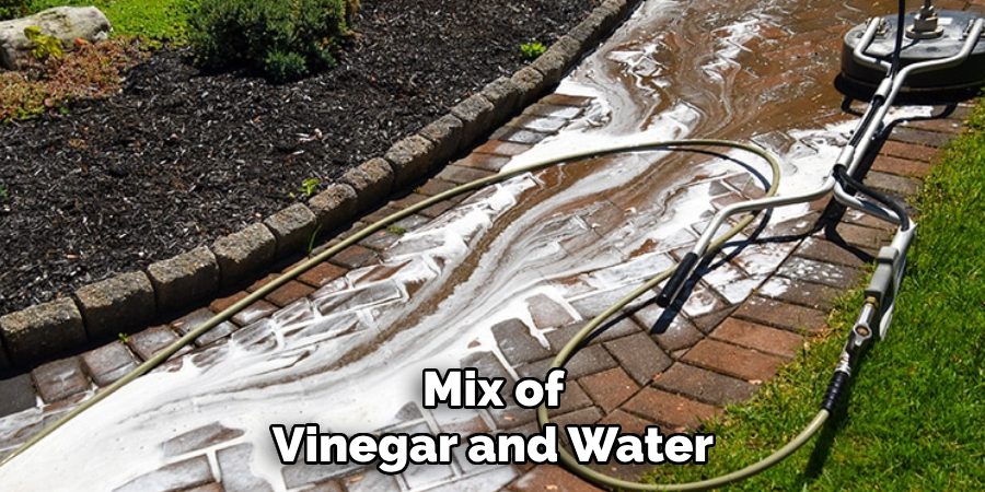 Mix of Vinegar and Water