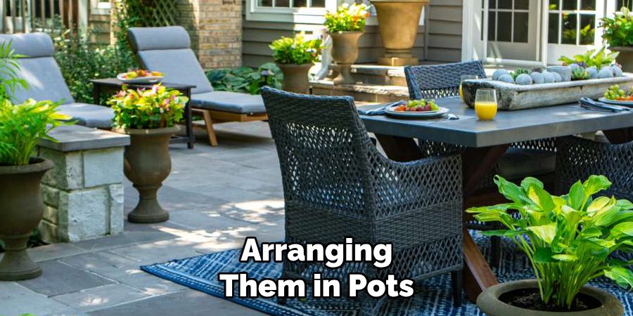 Arranging Them in Pots