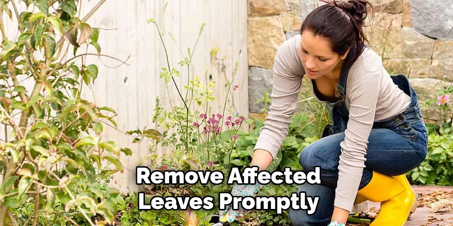 Remove Affected Leaves Promptly