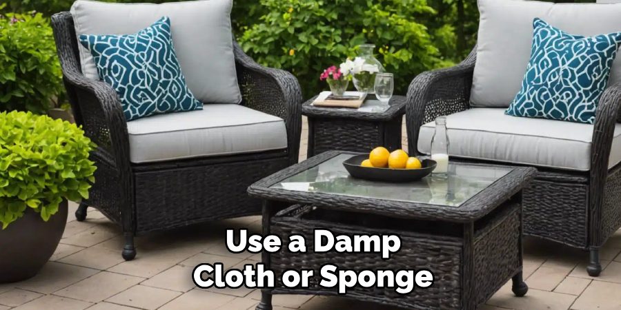 Use a Damp Cloth or Sponge