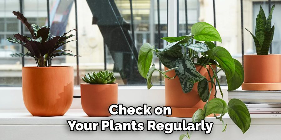 Check on
Your Plants Regularly