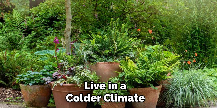 Live in a
Colder Climate