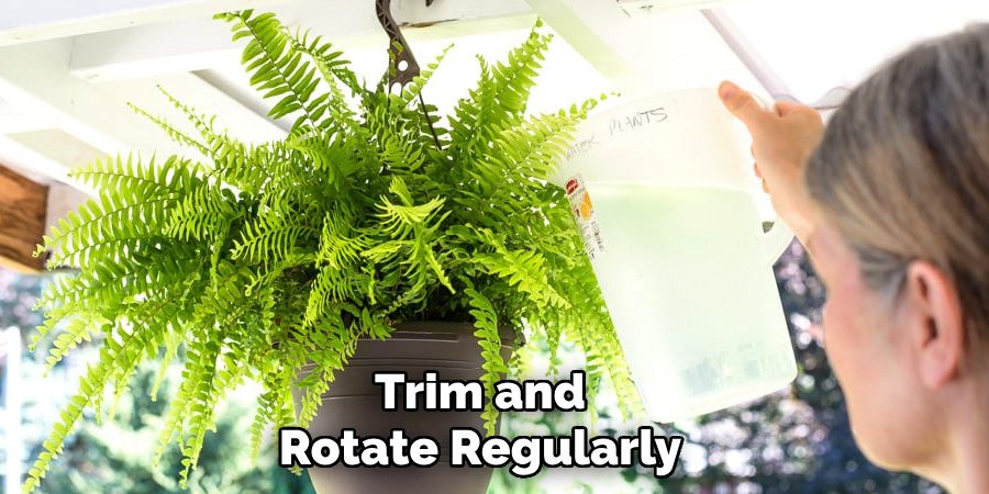 Trim and
Rotate Regularly