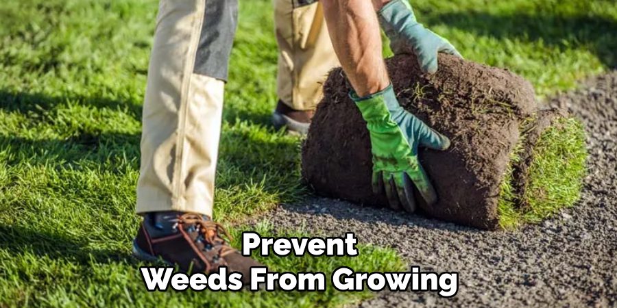 Prevent
Weeds From Growing