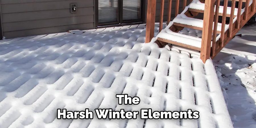 The
Harsh Winter Elements 
