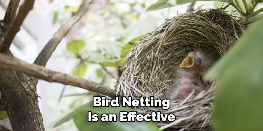 Bird Netting
Is an Effective
