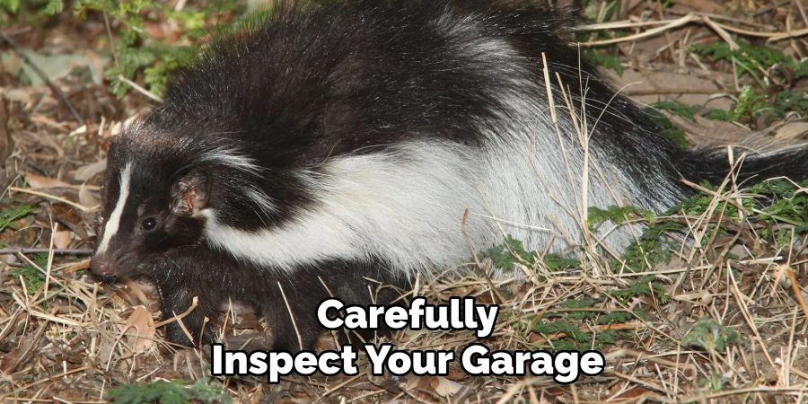 Carefully
Inspect Your Garage